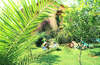 Turkuaz Garden Club 
